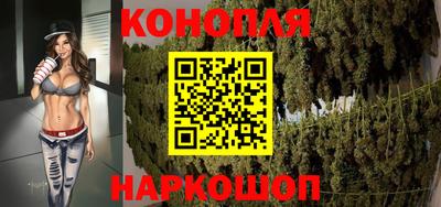 сатива Бузулук