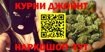 сатива Бузулук