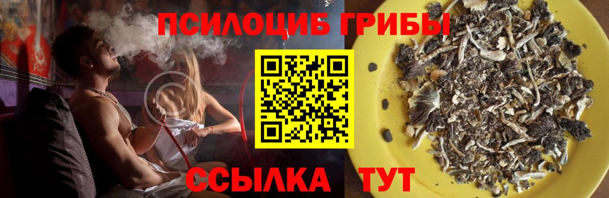 Краснотурьинск  Псилоцибиновые грибы мицелий  Вход с VPN 